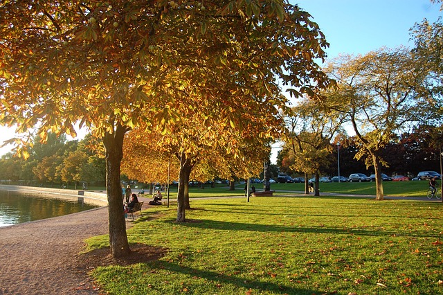 Free Autumn Helsinki photo and picture