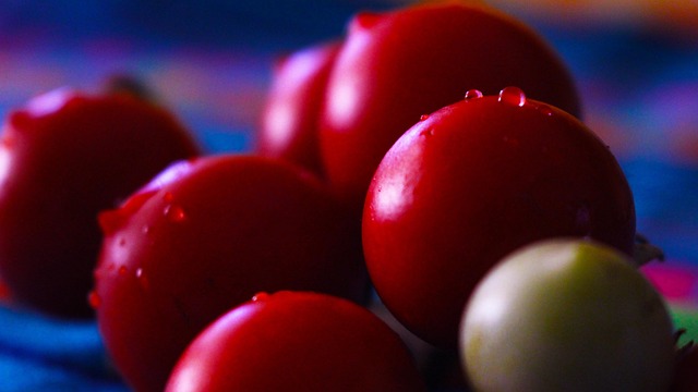 Free Tomatoes Nature photo and picture