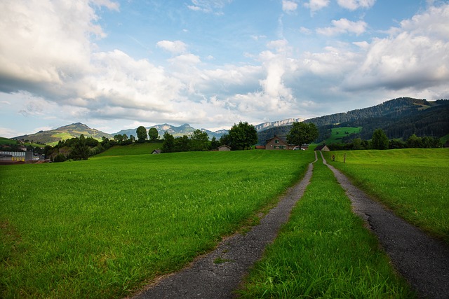 Cale, Pădure, Natură, Toamna, Peisaj