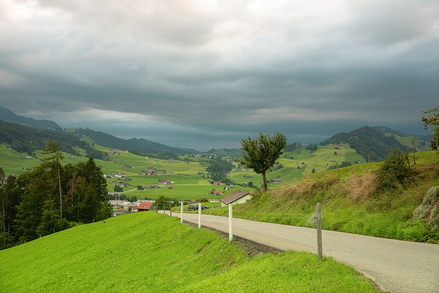 Cer, Pădure, Natură, Peisaj, Munte