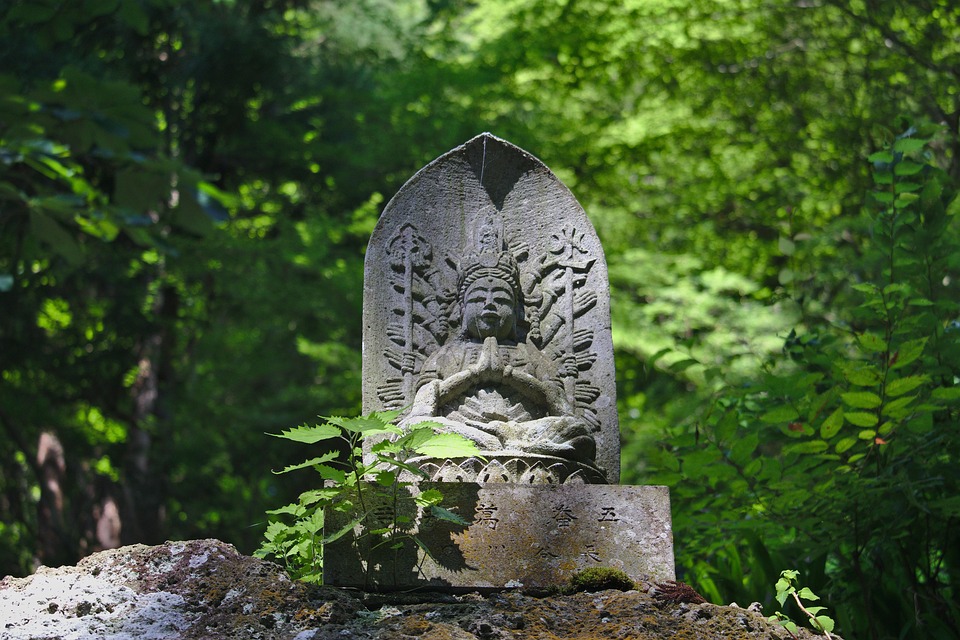 把他干到爽