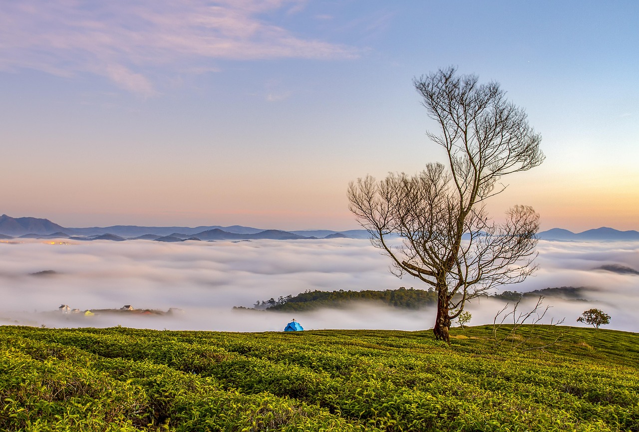 321 700 Fotos De Paisajes Bonitos Gratis Pixabay