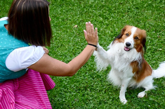 Free Handshake Welcome photo and picture