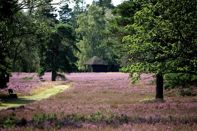 Lüneburger Heide, Heidegarten, Höpen