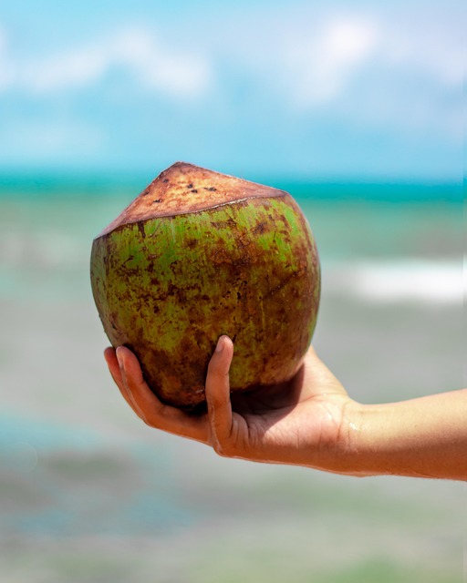 Free Vietnam Beach photo and picture
