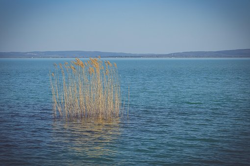 Het Balatonmeer, Zomer, Lake, Water