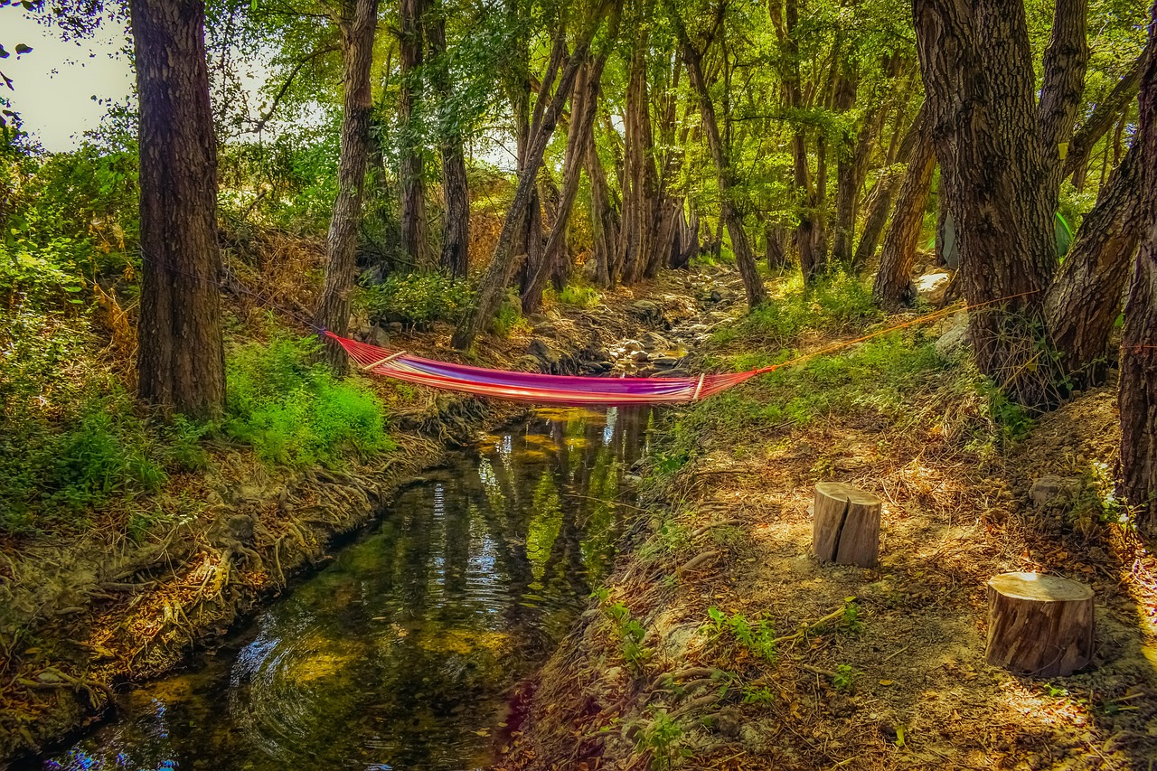 Hammock Stream Woods Free photo on Pixabay Pixabay