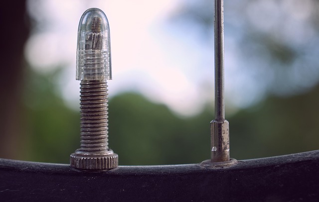 Free Bicycle Valve photo and picture