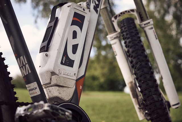 Bicicleta, E Bicicleta, Bateria, Bosch