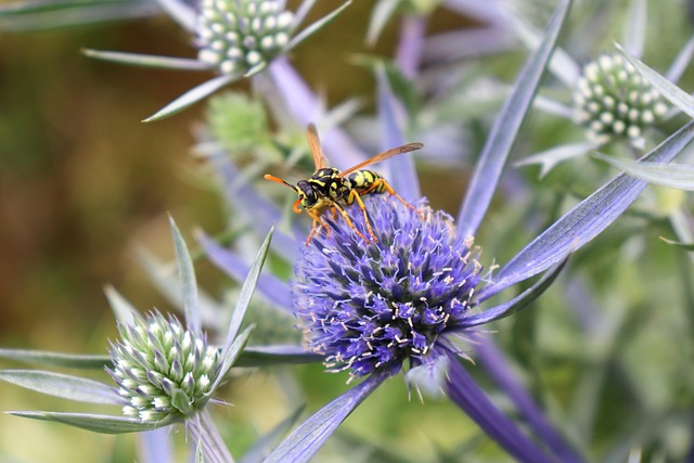 Free Life Nature photo and picture