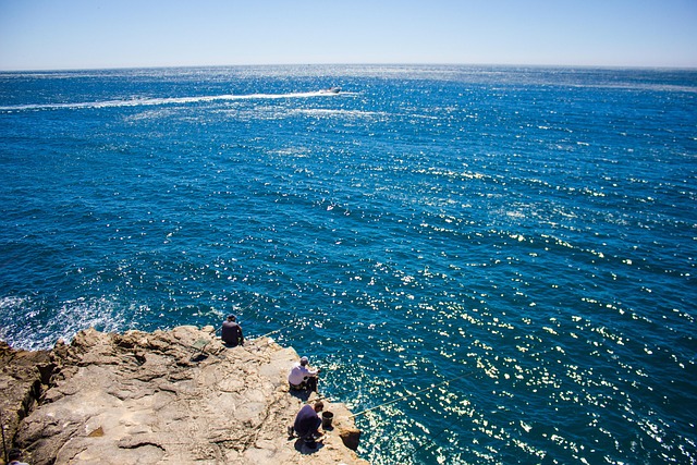 Pescador, Rede, Peixe, Pesca, Mar, Porto