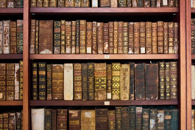Livros, Museu, Ancestral, Ciência