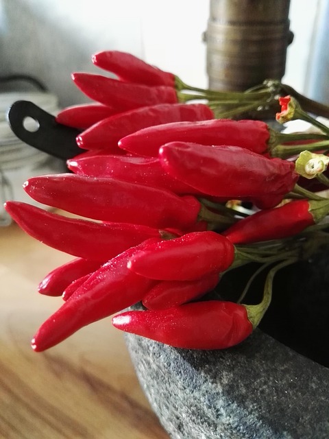 Free Chili Chili Peppers photo and picture