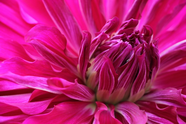Free Zen Spiritual photo and picture