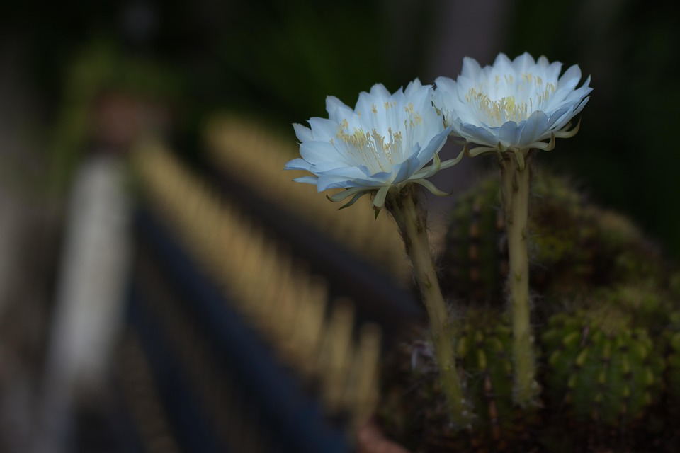 都市激情校园春色菲菲干