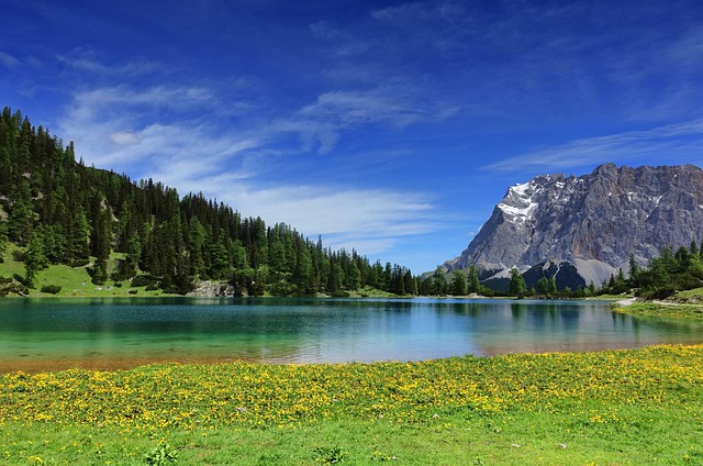 Free Lake Summer photo and picture
