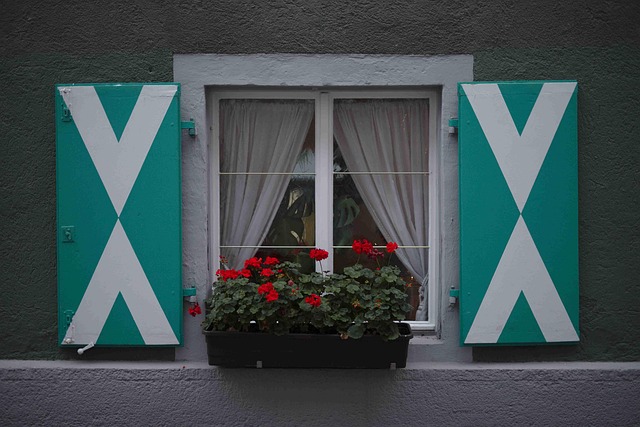shutters, window, facade, geometry, window-box, asymmetry, flowers, lindau, germany, gasthof inselgraben, grey box