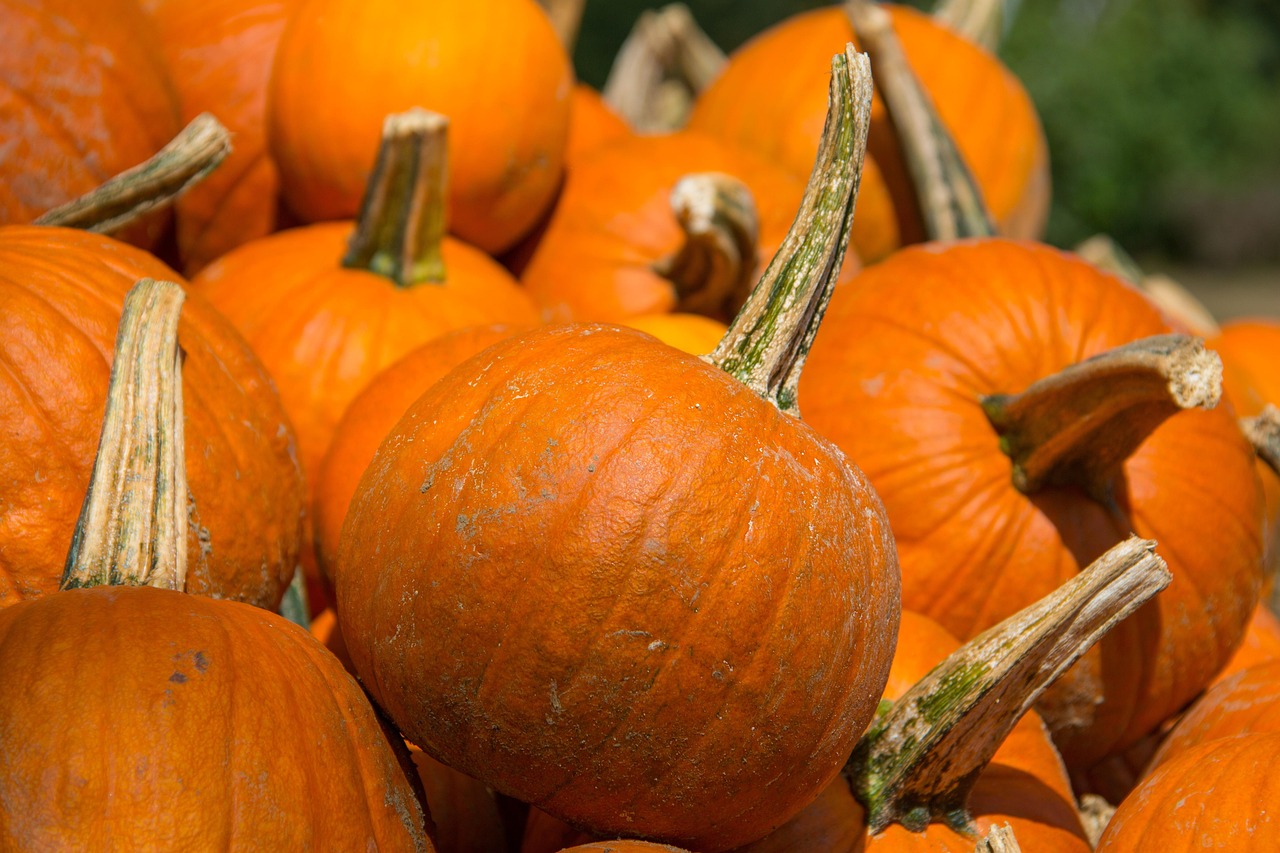 Pumpkin - free online jigsaw puzzle photo