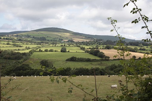 Free Fields Hill photo and picture