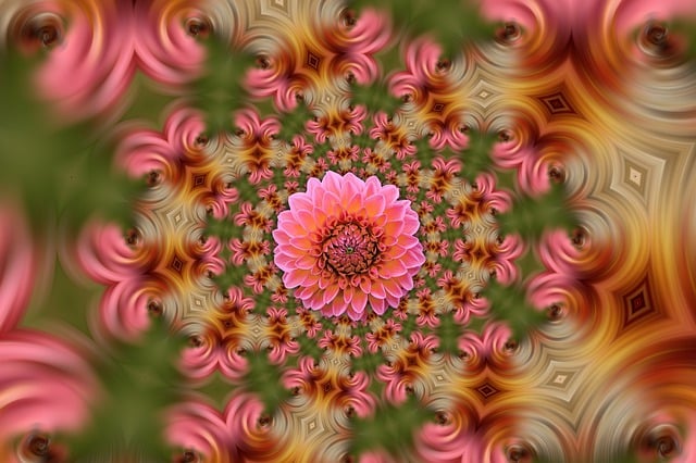 Download free HD stock image of Arrangement Blossom Free arrangement blossom bloom illustration