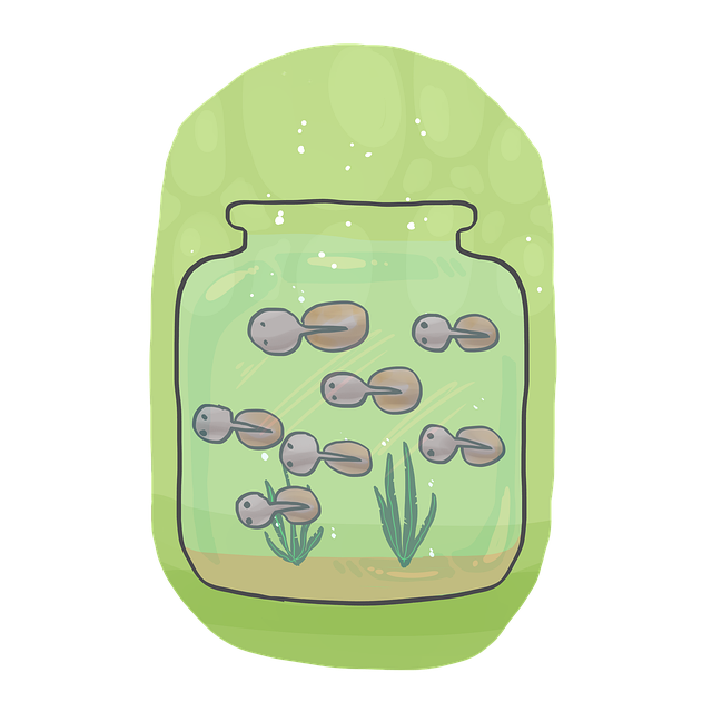 Download free HD stock image of Jar Bottle Free jar bottle glass illustration
