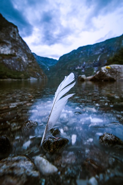 Noruega, Primavera, Naturaleza