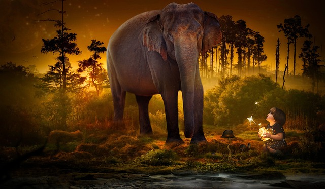 Free Composing Forest photo and picture