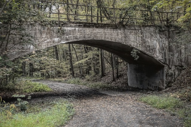 Free Bridge Dramatic photo and picture