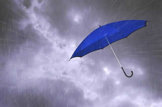 Free storm umbrella overcast illustration