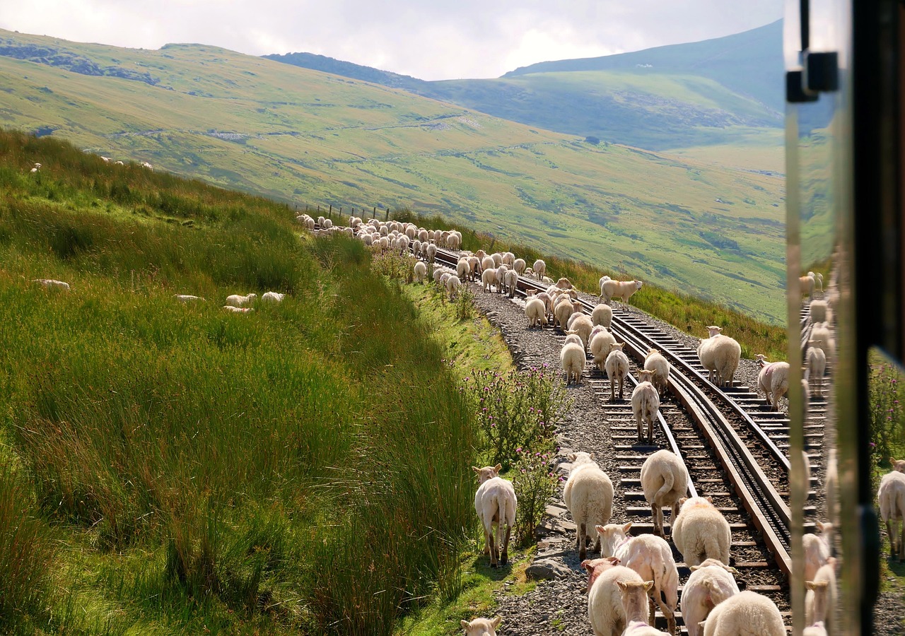 Snowdonia - free online jigsaw puzzle photo