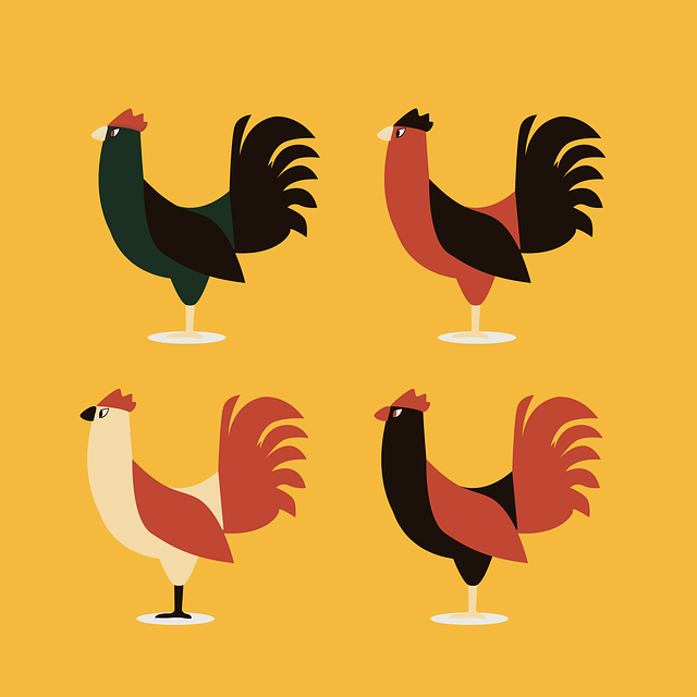 Free rooster year chinese illustration