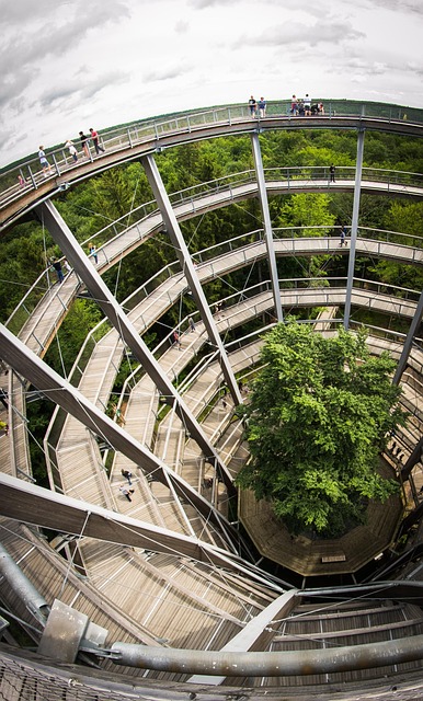 Free Treetop Walkway Steigerwald Steigerwald photo and picture