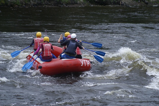 Free Boat Team photo and picture