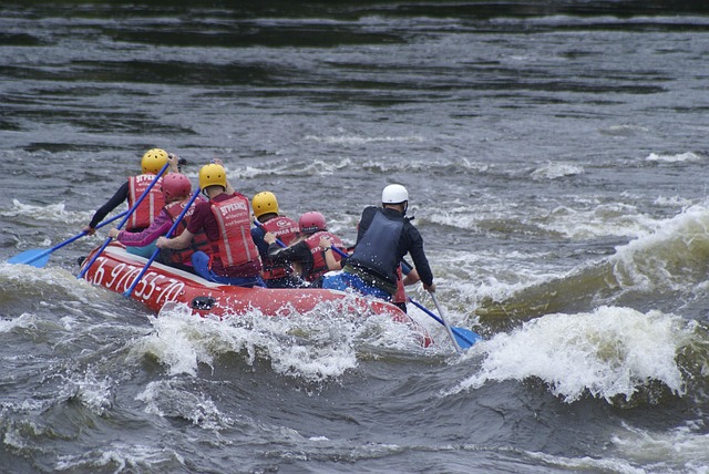 Free Boat Team photo and picture