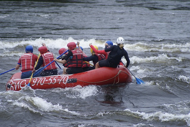 Free Boat Team photo and picture