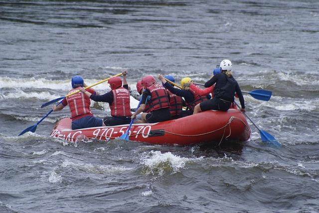 Free Boat Team photo and picture