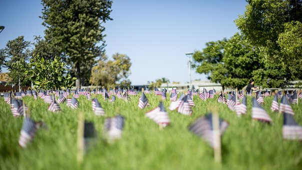 Free Flags Grass photo and picture
