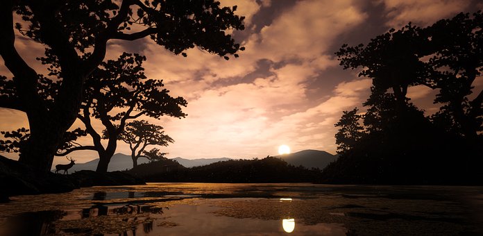 Cervo, Lago, Pôr Do Sol, Panorama, Agua