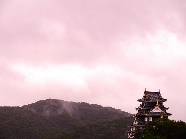 Free Castle Japan photo and picture