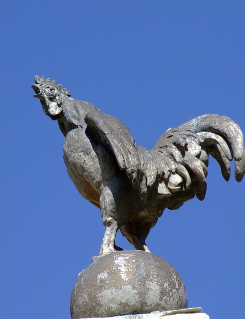 Free Rooster Statue photo and picture