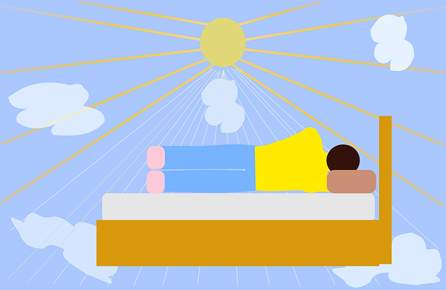 Free dream sleep nature vector