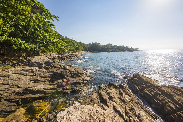 Free Coast Blue Sea photo and picture