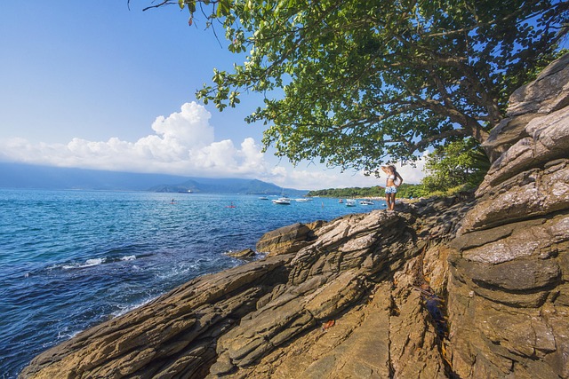 Free Coast Blue Sea photo and picture