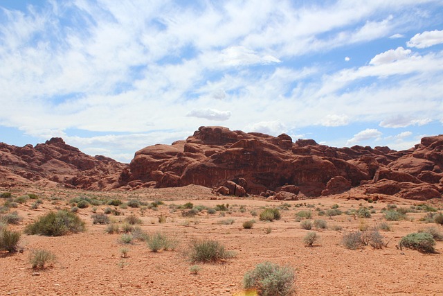 Free Desert Arizona photo and picture