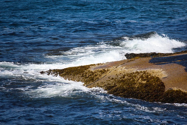 Free Rocks Water photo and picture