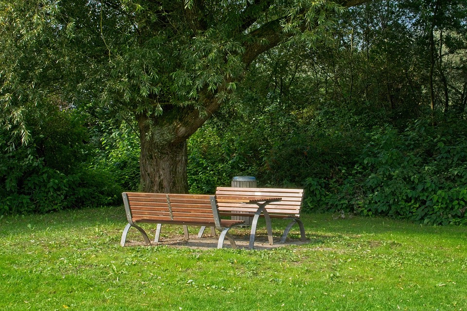 Seat Trees Green Resting - Free photo on Pixabay - Pixabay