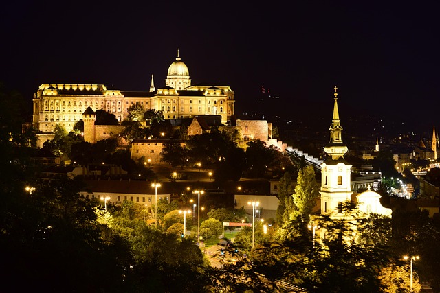 Free Budapest Palace photo and picture