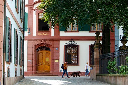 Basel photo 2