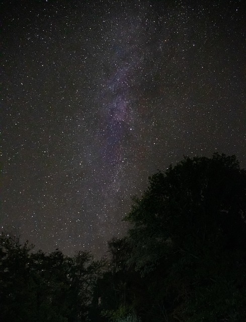 Free Starry Sky Stars photo and picture