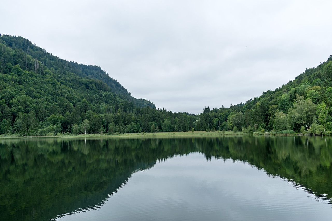 Le Lac Des Cygnes Allgäu Photo gratuite sur Pixabay Pixabay